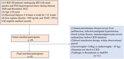 Short-term effect of low-dose roxadustat combined with erythropoiesis-stimulating agent treatment for erythropoietin-resistant anemia in patients undergoing maintenance hemodialysis